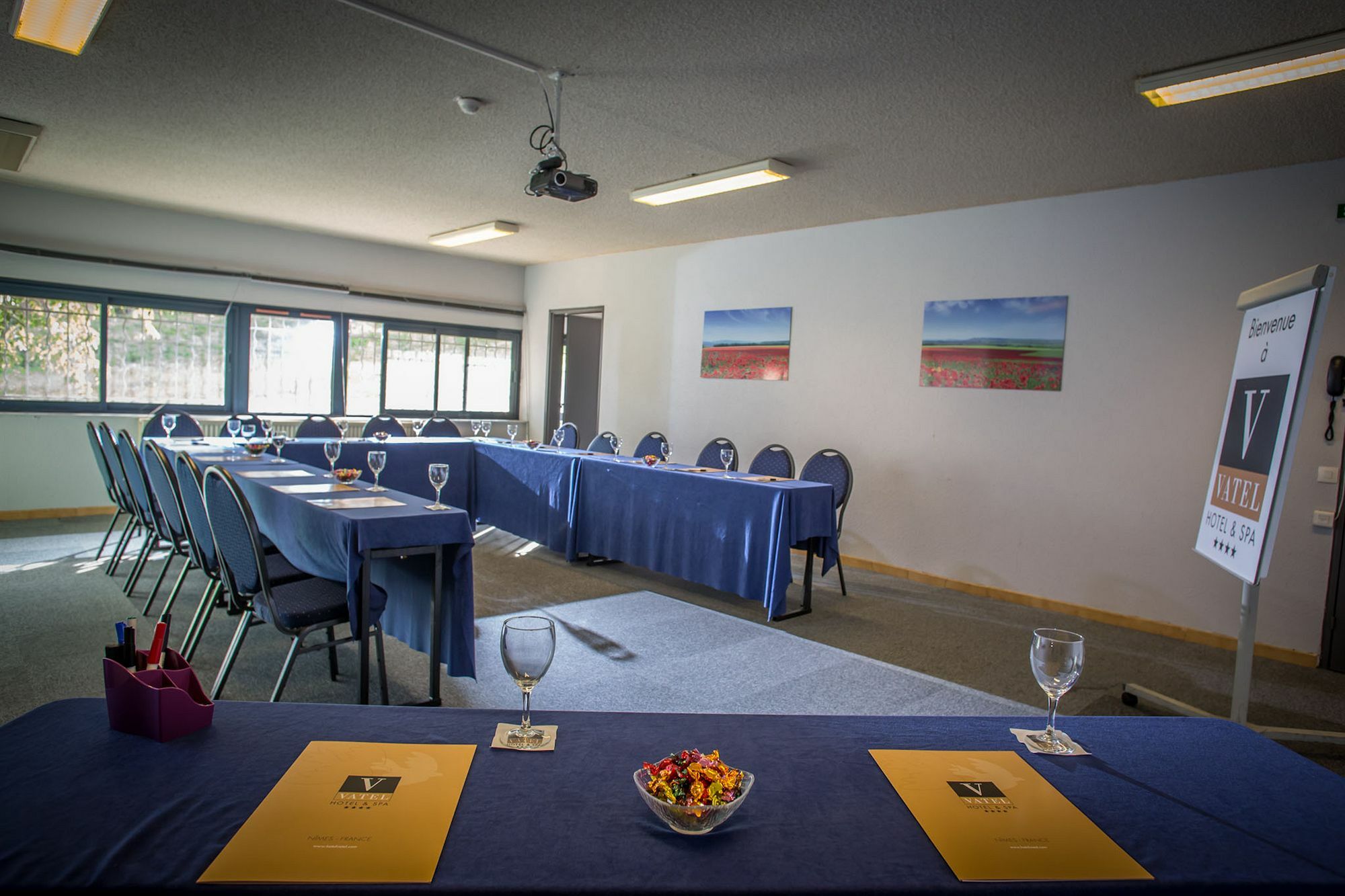 Hotel & Spa Vatel Nîmes Eksteriør bilde